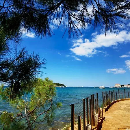 Apartman In The Very Heart Of - 50m To The