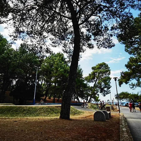 In The Very Heart Of - 50m To The Apartment