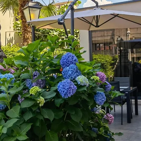 Apartment In The Very Heart Of - 50m To The Poreč